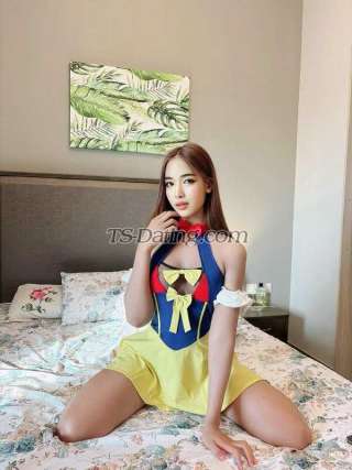 trans girl MinieLadyboy 9657162