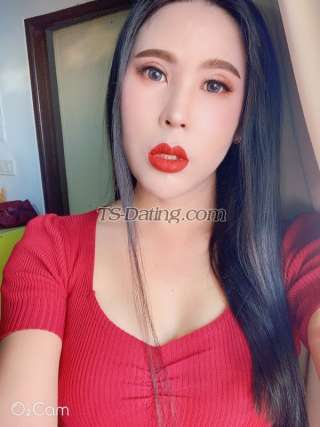 trans girl Minnylove 3803566