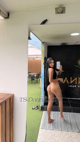 trans girl Mireyasantan 2307912