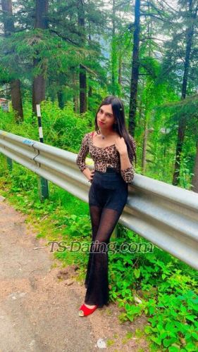 trans girl Mishtisinha 3385058