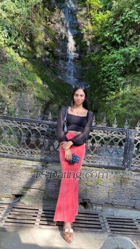trans girl Mishtisinha 6781240 trans girl Mishtisinha 6781240