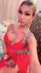 MissBebo69 New Delhi Transex Hello guys I’m bebo I’m post op trans women here for all
the gentlemen text me or call me for more information about
me