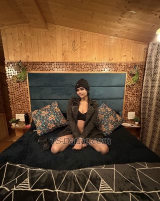 trans girl MissElly 4347053