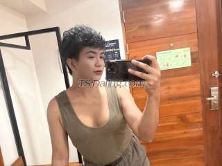 trans girl MissJessy 5051955