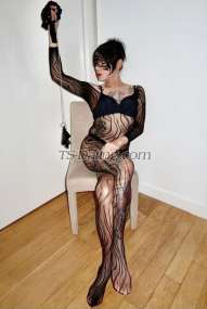 MissXLDOM Kuala Lumpur Transex B
D
S
M

Tall and dominant, commanding and strict
Tattooed and skinny, rock hard seven inch
Fully functional  COCK long playing -
GOOD ATTITUDE 

EDGING CUMM CONTROL SPECIALIST

NO RUSH IN SESSION

WITH POPPERS-
CLEAN- NEAT-TIDY

WITH FREE SPECIAL MASSAGE