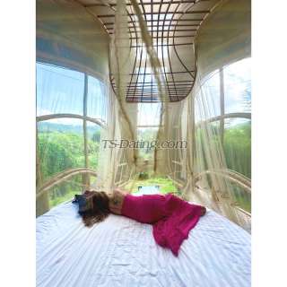 trans girl Missbasu 0098891