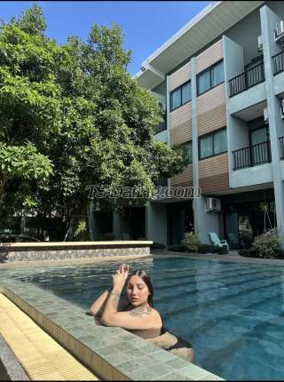 trans girl Missbasu 2262131