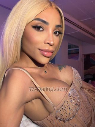 trans girl Misshannah 8884978