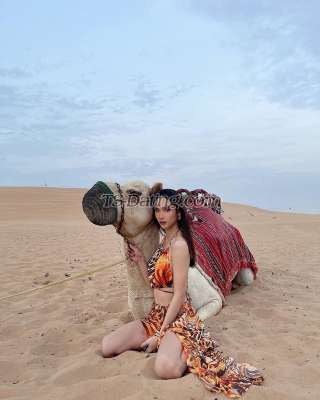 trans girl Missjessi96 3258973