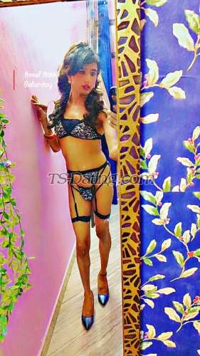 trans girl Misspavitra 8150405