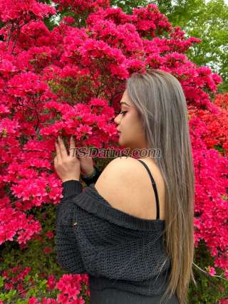 trans girl Mistikazy 4241200