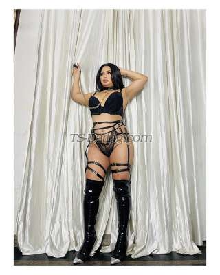 trans girl Mixylee 4280405