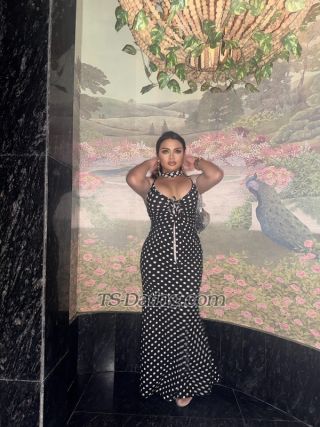 trans girl Mixylee 6040477