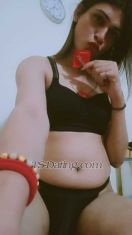 Mohini11215 Delhi Transex Group sarvice avilable
💝7.5 inch big cut dick
💝I have BDSM tools
💝 Chastity cage👿
💝 I have safe place
💝 room available
💝 Shower 🚿
💝 I have good stamina
💝 34 ass size
💝 ONLY HIGH CLASS ,HIGH PAYMENT GENUINE GUESTS & SERIOUS PEOPLE CONTACT ME ( fake ya time passer stay away)💝
💝 My nude videos Avilable
💝 Group video's Available
💝 Role play video Available
💝 Bdsm session videos
💝 CD session videos
💝 Voice call session
💝Chat session
💝 Live so session
: ‭‭‭‭‭‭‭ ‭‭ ‭‭‭‭‭‭‭‭‭‭‭‭‭‭‭‭‭‭‭‭ ‭‭‭‭‭‭‭‭‭‭‭‭‭‭‭‭‭ ‭‭‭‭‭‭‭‭‭‭‭‭‭‭‭‭‭‭‭‭ ‭‭‭‭ ‭‭‭‭‭‭‭‭‭‭‭‭: ‭‭‭‭ ‭‭‭‭‭‭‭‭‭‭‭‭‭‭‭‭‭‭‭‭
🤜� �� ��SERVICES TO PROVIDE 💝🤛🏼
(Condoms is a must)✅
Lets be all play-safe and it will benefit for all of us🥳🙏
💝I have full bdsm kit
💝 Mistress slave collection
💝 Slave dresses
💝CD session dress India western dress
💝 Makeup wig high heels
💝 Lingerie nighty 💋 Available
💝VIRGIN ASS EXPERIENCE (first timers)
💝MASSAGE (oil)
💝TOP and BOTTOM
💝GF EXPERIENCE
💝TO SUCK AND GET SUCK
💝69
💝DOMINATION
💝MISTREESS
� �� ��️GOLDEN SHOWER
💝ASSFUCK (HARD ,SLOW)
💝BODY LICKING
💝STRIPTEASE
💝OWO (oral with condom ,depends after i check 😉)
💝ROLEPLAY
💝ORAL SEX
💝COB (come on Body)
💝CUM FACIAL
💝BOOB CUMS
💝ENSLAVING
💝SLOPPY BLOWJOB
💝FETISH CLOTHES (satin,fishnets, leather,pants,tightdress,skirts)
💝HEELS fetish

Photos contact - 8929909540