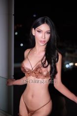 Moji44 Pattaya Transex Line:sofai0709My whatsapp +66963411796Good morning
my name  mojiI'm here in my pattayaI'm very
elegant classy sexy and nice talking if you looking for a
sex dominant time or you liking for a sweet time I can do  
everything you want I have 8 inch cock big come big thick
and good ass ❤top ❤️bottom sub❤️cum
in my mouth my face❤️suck 69