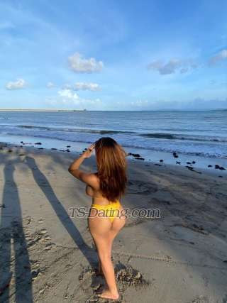 trans girl MollyPaulX 2681619