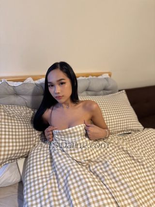 trans girl MollyPretty 3073248