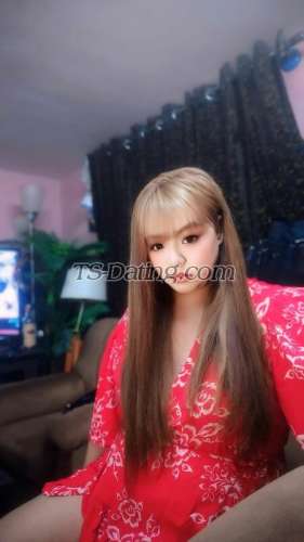 trans girl Monica21 3546182