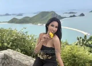 Shemale Monica888 3662442