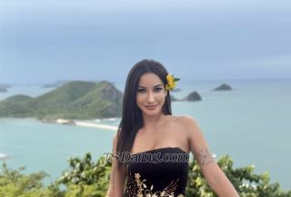 trans girl Monica888 3662494