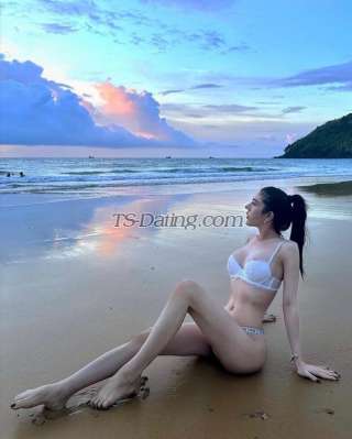 trans girl Monla99 3648048