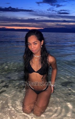 trans girl Morenita69 8765566 trans girl Morenita69 8765566