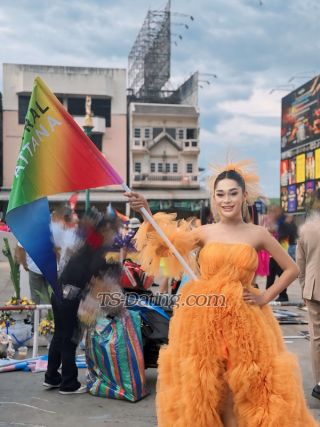 trans girl Mosxy 1148485 trans girl Mosxy 1148485