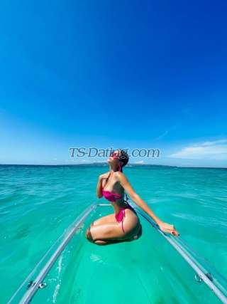 trans girl Msprofessor08 6886854