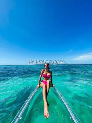 trans girl Msprofessor08 6886954