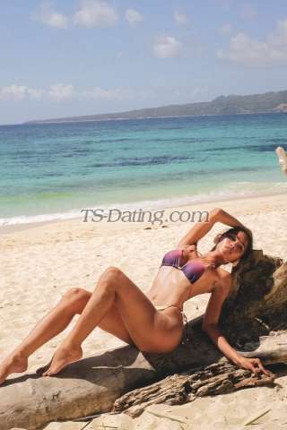 trans girl Msprofessor08 6887061