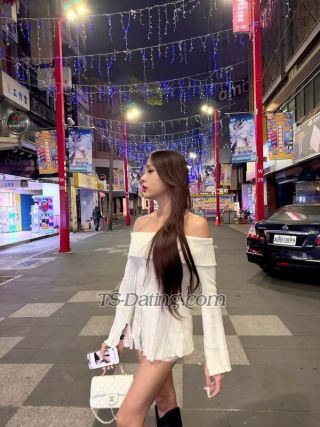 trans girl Murphycute 1941105