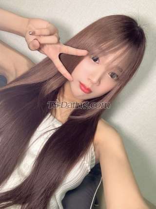 trans girl Murphycute 3796571