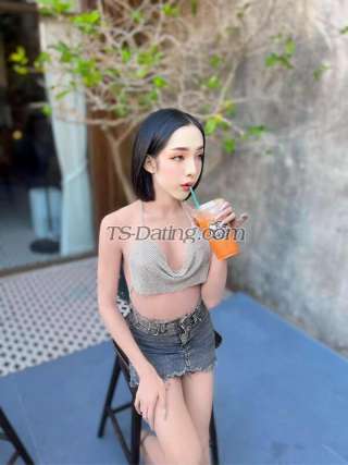 trans girl MyMintTS 3560588