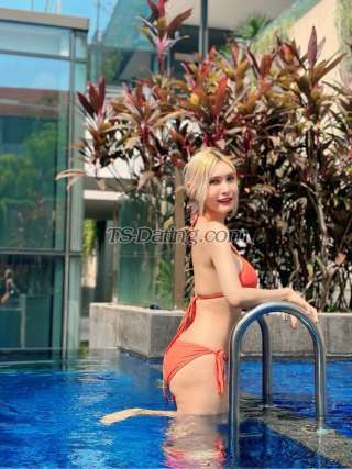 trans girl Mydream2556 2215348