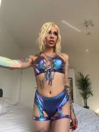 Shemale madisonm 5826469 Shemale madisonm 5826469