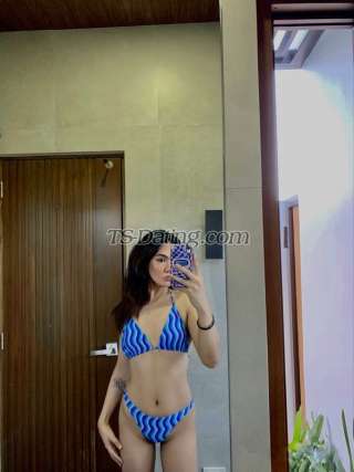 trans girl maggyfox 8020477