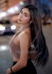 maine31 Manila Transex 📨 WhatsApp: +639277722111
📥 TELEGRAM: BabyGirlHara
📲 Instagram: allessia_maine
💌 𝐋𝐈𝐍𝐄: BabyGirlHara

🔥 Accepting CAM SHOW via P A Y P A L 🔥

⭐ Your LIMITED DAYS addiction ⭐

Your QUEEN 👑 The VIP Ladyboy 💎 
And Your ASIAN LATINA is the 
NEWEST ADDICTION 🌸

Hi my name is Allessia, a Fashion Model in Asia, a Highly Educated with a College Degree Holder, Smart with Sense of Humor, a Make up Artist, High Class & well mannered Ladyboy that you will meet in person, but wild in Bed.

NOTE: 
I am INDEPENDENT/ALONE in a SAFE DISCREET PLACE at the center of the heart at Malaysia, and I can assure you that I am a DIFFERENT one, I am ELOQUENT, NATURALLY HOT w/ a HEARTFELT BEAUTY. I am FUN, YOUNG & EASY to BE WITH but I am FULLY GROWN. See for yourself 💋

I am a person who values education a lot, KINDNESS GENERATES KIND.

I am the perfect fit for stylish, educated men who know how to treat a beautiful Transexual.

I am also WELL EXPERIENCED with FIRST TIMERS so you can come relaxed and carefree.

You Can Expect:

⚜️ SATISFYING lovemaking. 
⚜️ UNFORGETTABLE Massage 
⚜️ MEMORABLE time with a good girl. 
⚜️ Someone compromised to creating a nice environment for you to RELAX and CONNECT. 
⚜️ Someone who really NEVER discriminates against any race, age, sexuality or body type. you can be yourself with me.

Let's make today an outstanding day!

🔥 Accepting CAM SHOW via PAYPAL 🔥

It’s “NOW or NEVER” Darling so CUM & SEE Me

Be thrilled. Be mesmerized. 
Be the first to get ravished.

I am VERIFIED means I am 💯 percent REAL & SAME in photos ‼️