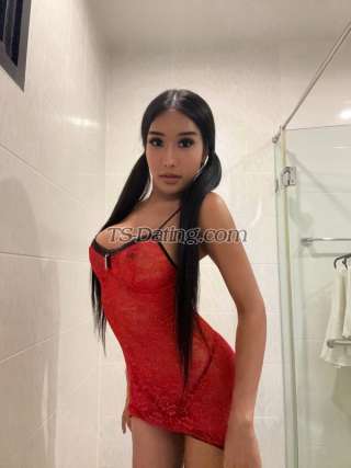 trans girl memesexy14 5751342