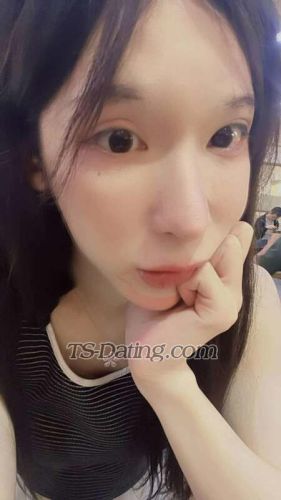 trans girl meowiiting 1144895