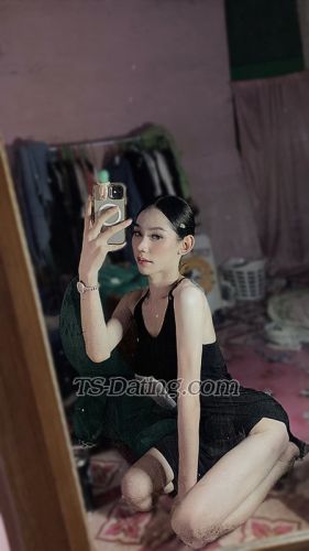 trans girl mimoomook6 9478743