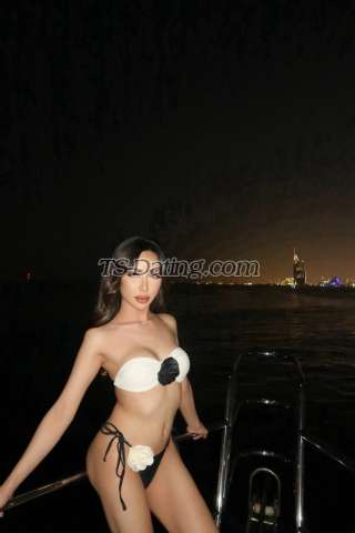 trans girl missylove 4331367