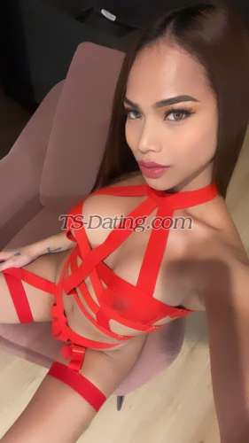 trans girl miyaangela05 6913309