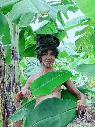 trans girl NADIA2015 4077178