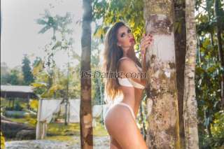 trans girl NICOLLY 4484362 trans girl NICOLLY 4484362