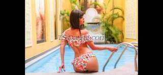 trans girl NICOLLY 7104313 trans girl NICOLLY 7104313