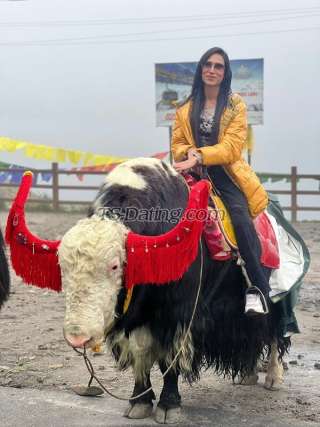 trans girl Nashasingh 2698207 trans girl Nashasingh 2698207