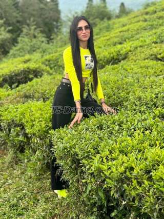 trans girl Nashasingh 2698418 trans girl Nashasingh 2698418