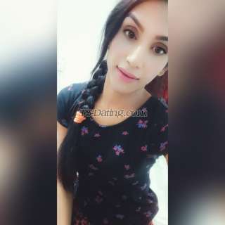 trans girl Nashasingh 9795268 trans girl Nashasingh 9795268