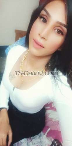 trans girl Nashasingh 9838224 trans girl Nashasingh 9838224