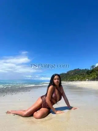 Shemale NastyBitch 4352641